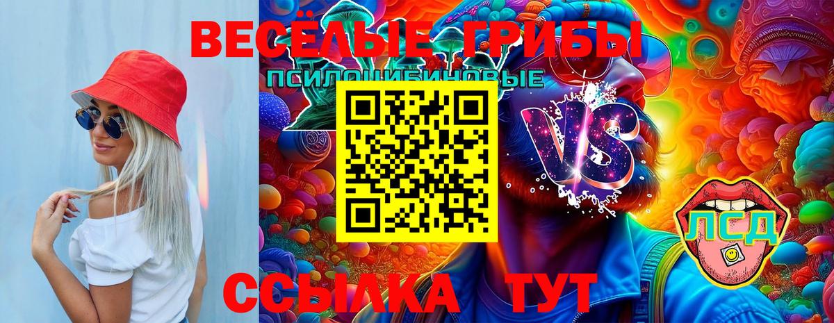 Псилоцибиновые грибы мухоморы Горячий Ключ