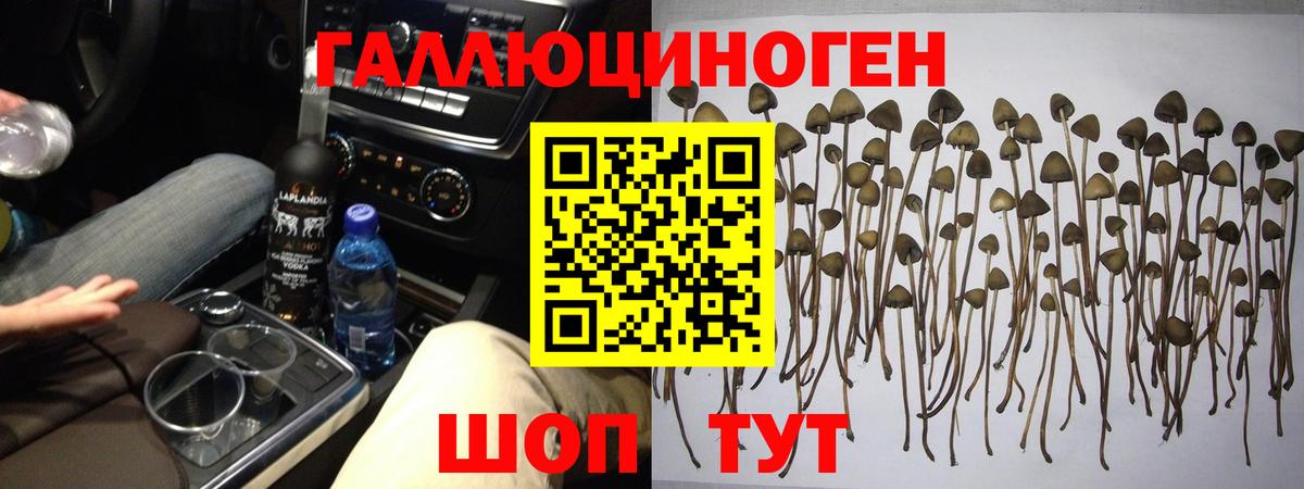 Псилоцибиновые грибы прущие грибы  Вход с VPN  Горячий Ключ 